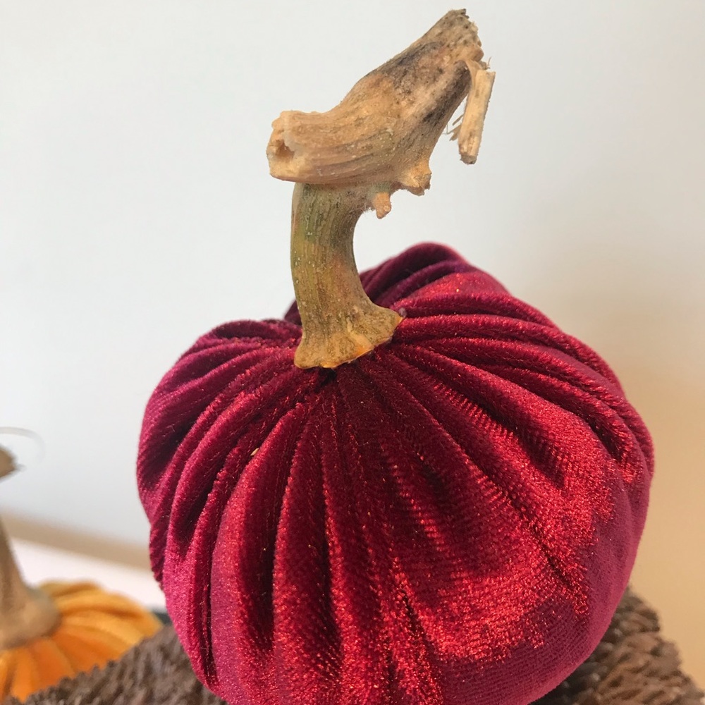 Velvet pumpkins - Picture 4 of 5